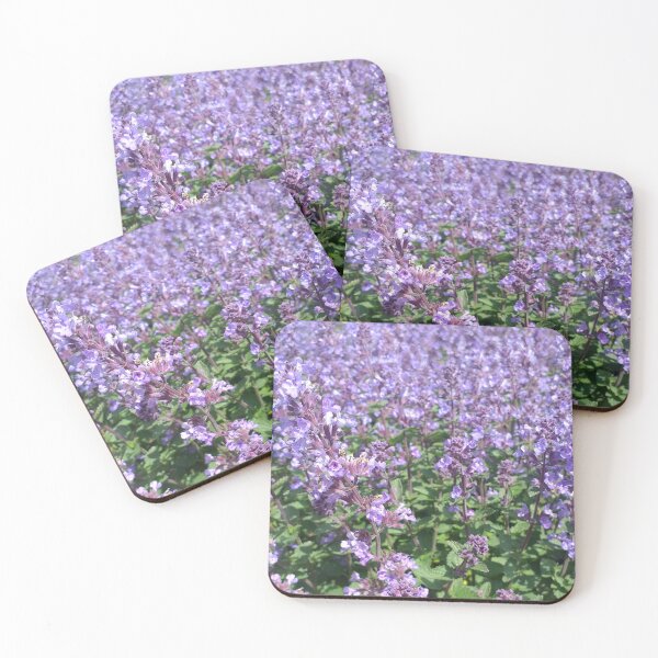 Item preview, Blue Nepeta fassenii designed and sold by Floral-Art.