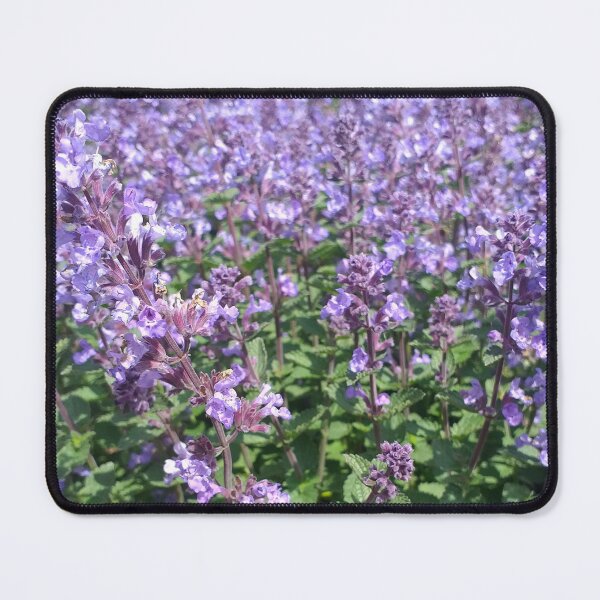 Item preview, Blue Nepeta fassenii designed and sold by Floral-Art.