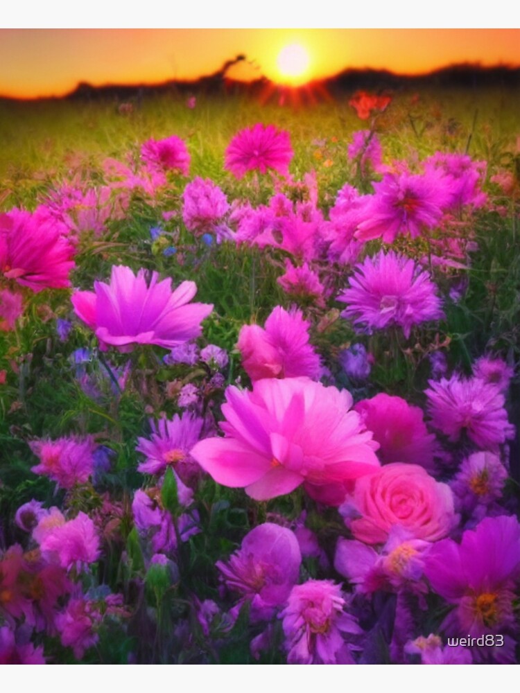 "Pink tulips roses sunset wild flowers field nature trees funeral