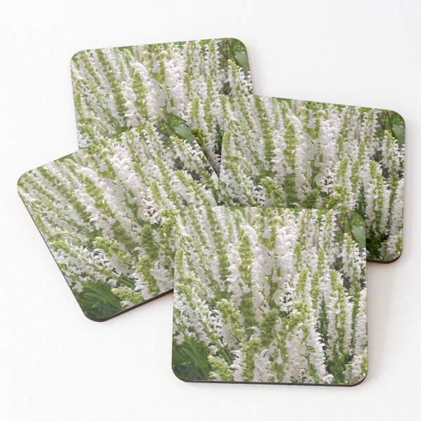 Item preview, White Salvia nemorosa Flowers designed and sold by Floral-Art.