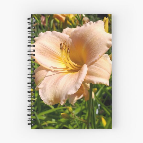 Item preview, Hemerocallis (Day Lily) Mini Pearl  designed and sold by Floral-Art.