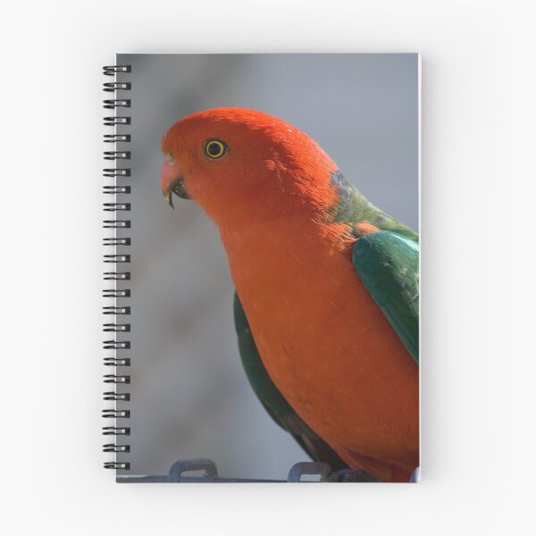 Item preview, King Parrot #1 designed and sold by DeborahMcGrath.