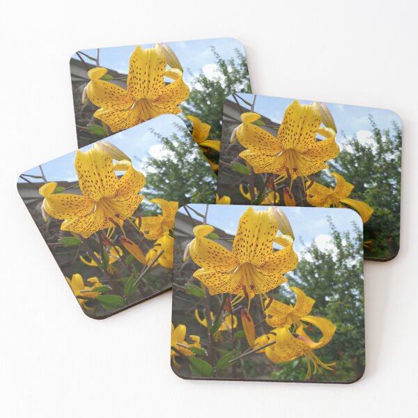 Item preview, Yellow Lilium leichtlinii  designed and sold by Floral-Art.