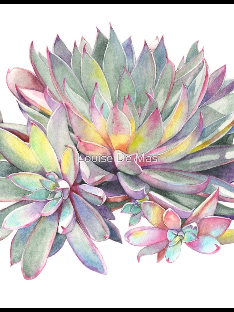 Succulent #2 by Louisedemasi