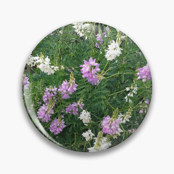 Item preview, French Lilac (Galega officinalis) plants designed and sold by Floral-Art.