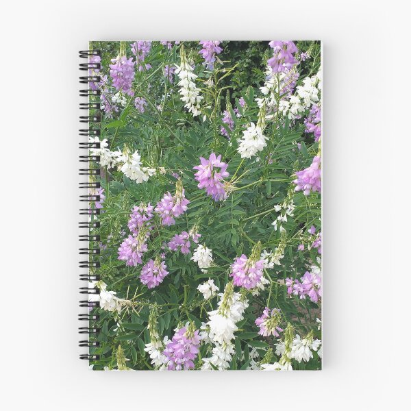 Item preview, French Lilac (Galega officinalis) plants designed and sold by Floral-Art.