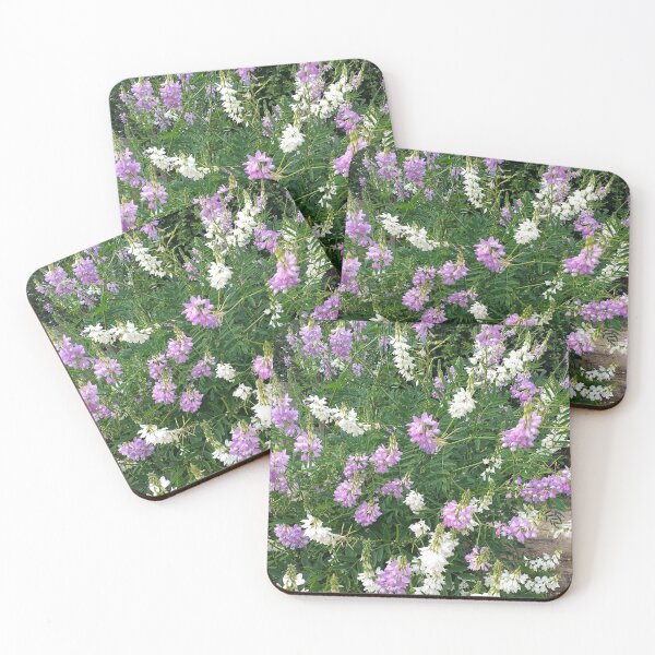 Item preview, French Lilac (Galega officinalis) plants designed and sold by Floral-Art.