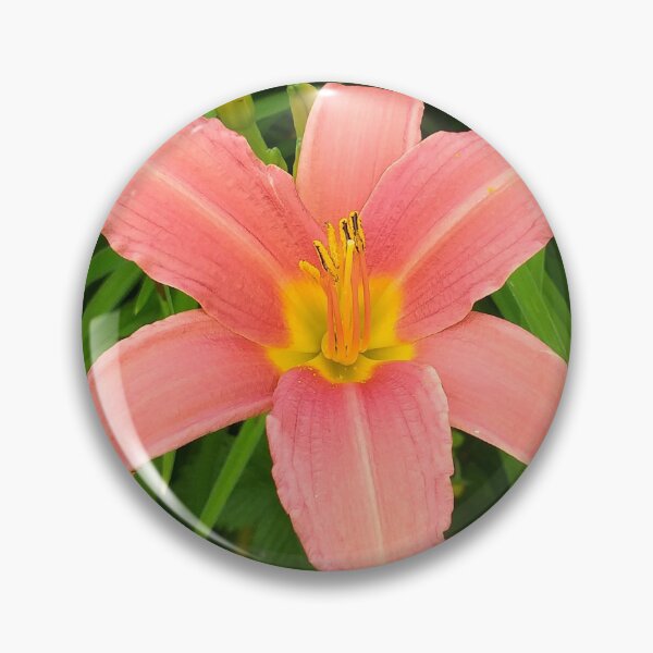 Item preview, Hemerocallis day-lily flower designed and sold by Floral-Art.