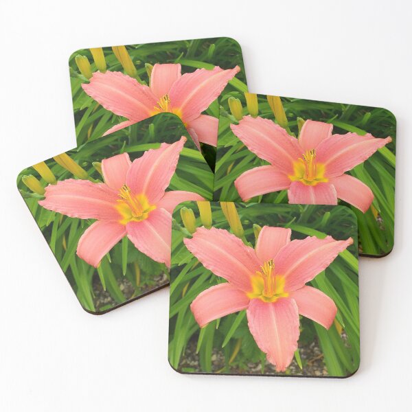 Item preview, Hemerocallis day-lily flower designed and sold by Floral-Art.