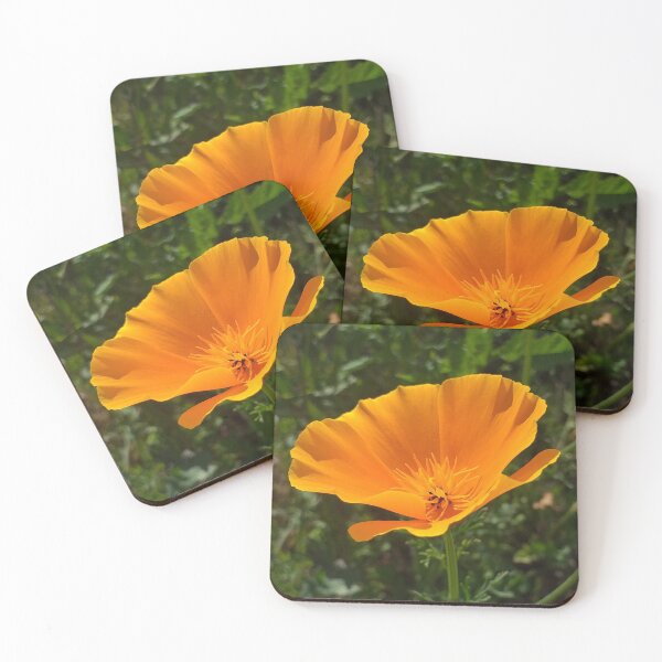 Item preview, California Poppy designed and sold by Floral-Art.