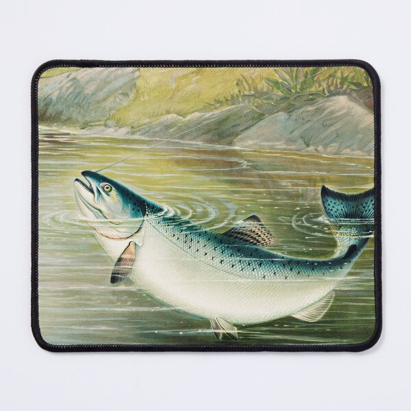 Item preview, The California salmon by Samuel Kilbourne (1879). From the Museum of New Zealand designed and sold by mbuz90.
