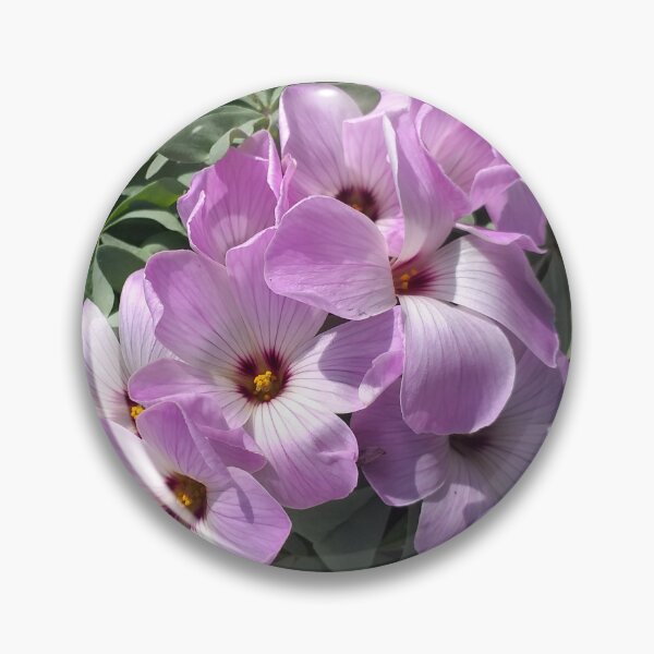 Item preview, Oxalis Flowers designed and sold by Floral-Art.