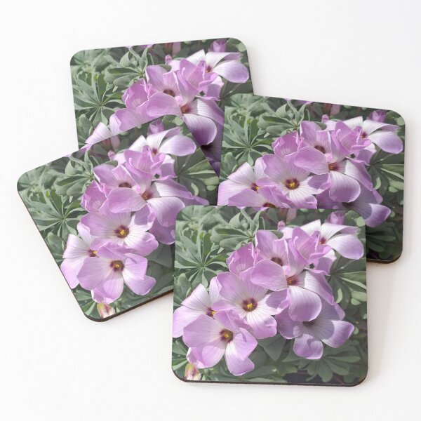 Item preview, Oxalis Flowers designed and sold by Floral-Art.