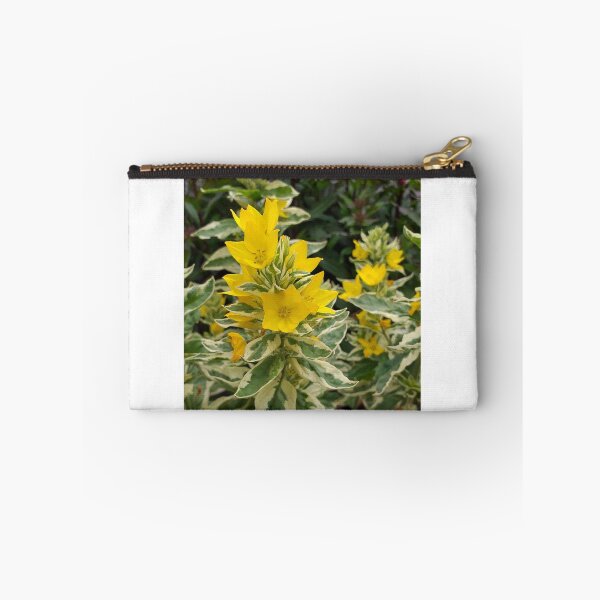 Item preview, Variegated Yellow Loosetrife designed and sold by Floral-Art.