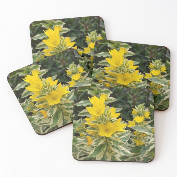 Item preview, Variegated Yellow Loosetrife designed and sold by Floral-Art.