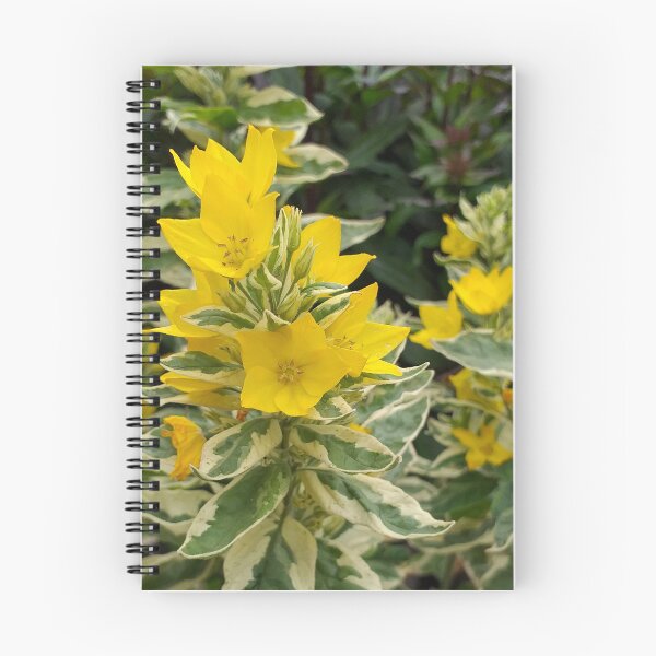 Item preview, Variegated Yellow Loosetrife designed and sold by Floral-Art.