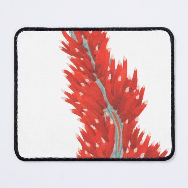 Item preview, Opalescent Nudibranch designed and sold by Inverted-Ink.