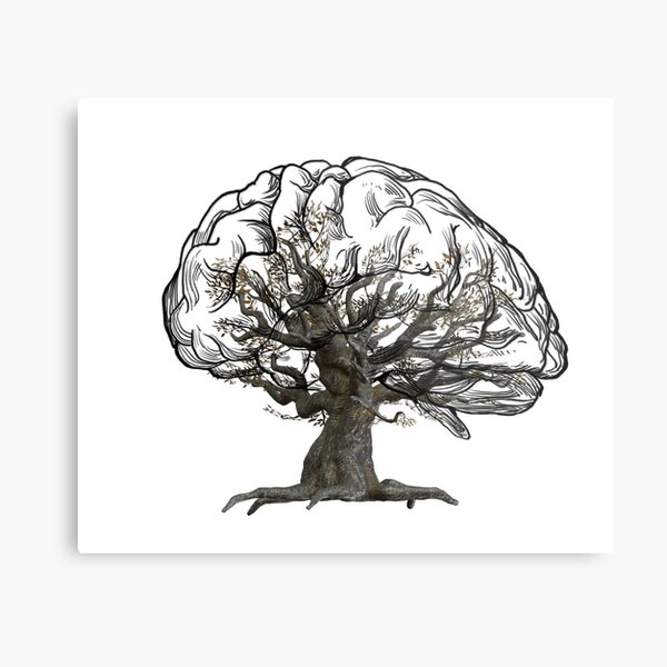 Old Tree Meme Metal Prints for Sale