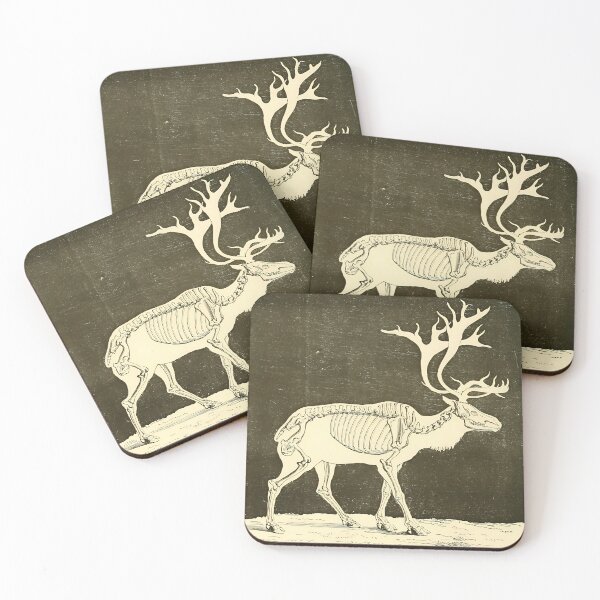 Item preview, Reindeer Skeleton Vintage Illustration designed and sold by maxberube.