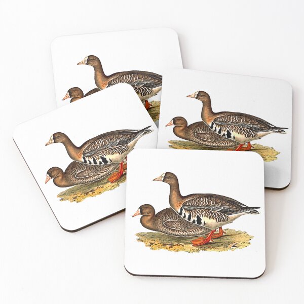 Item preview, WHITE FRONTED GOOSE designed and sold by MicbellaArt.