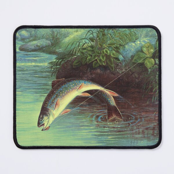 Item preview, Leaping Brook Trout chromolithograph by Samuel Kilbourne (1874). From Museum of New Zealand designed and sold by mbuz90.
