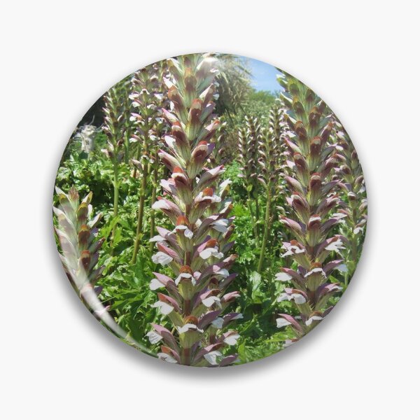 Item preview, Exotic Acanthus Flowers designed and sold by Floral-Art.