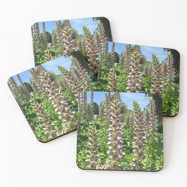 Item preview, Exotic Acanthus Flowers designed and sold by Floral-Art.