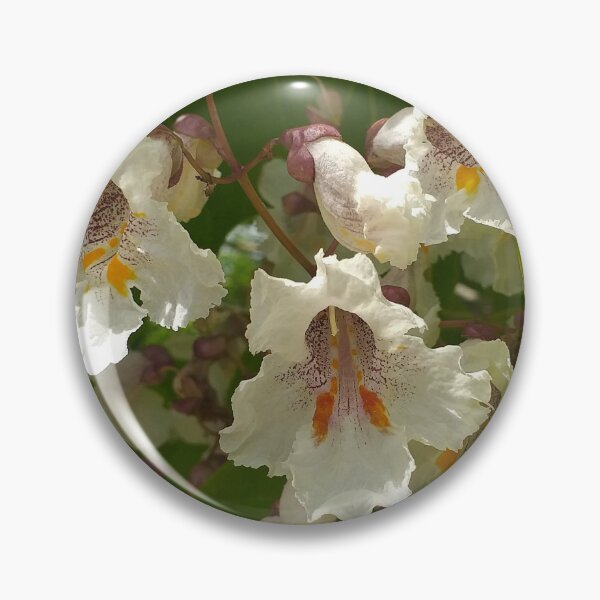 Item preview, Catalpa bignoides flowers designed and sold by Floral-Art.