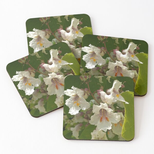 Item preview, Catalpa bignoides flowers designed and sold by Floral-Art.