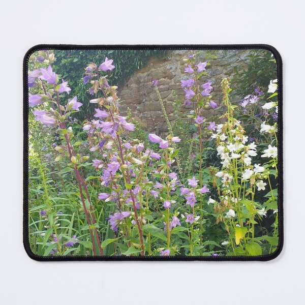Item preview, Bellflowers (Campanulas) in an old garden designed and sold by Floral-Art.