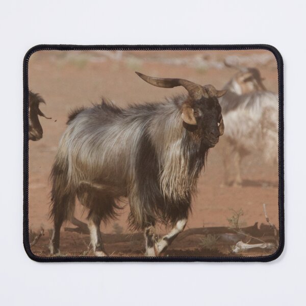 Item preview, Rangeland Goat, Australia designed and sold by Felicity McLeod.