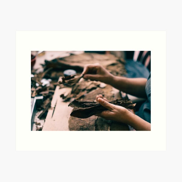 Aperçu de l'œuvre Rolling Cigars, Floride créée et vendue par Eleanor Cox.