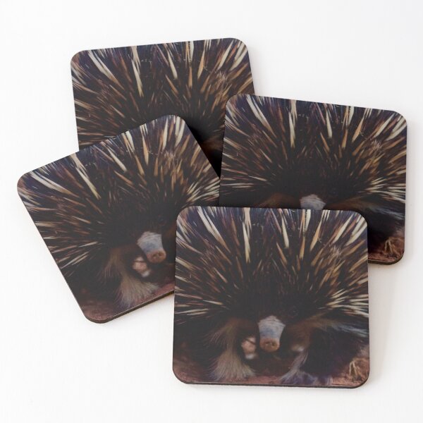 Item preview, White leg Echidna, April 2019. designed and sold by Felicity McLeod.