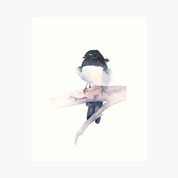 Item preview, Willie Wagtail designed and sold by Louise De Masi.