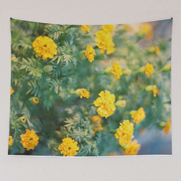 Item preview, spring sunshine designed and sold by Fahad Al-Alam.