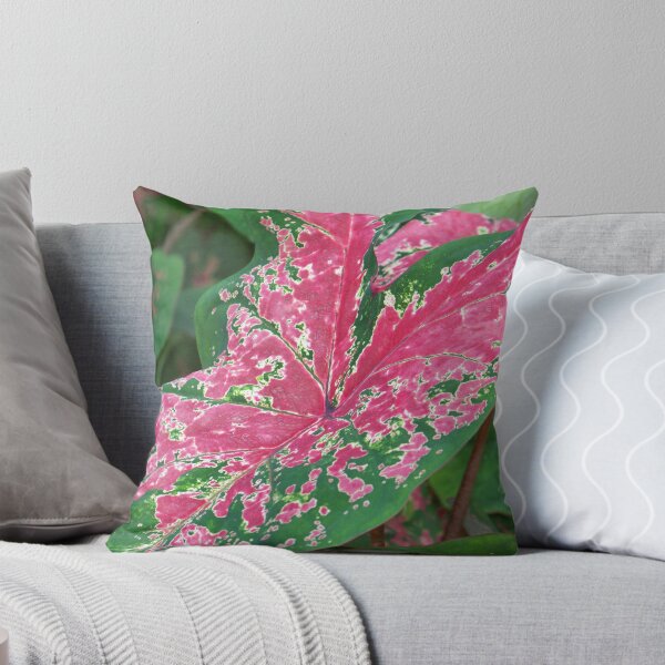 Item preview, Caladium designed and sold by okomedesign.