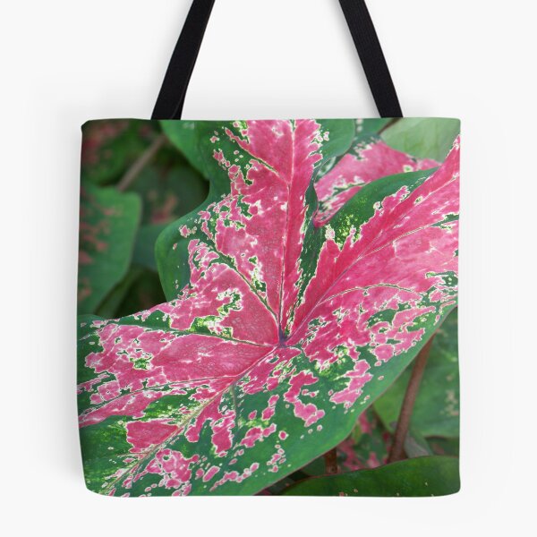 Item preview, Caladium designed and sold by okomedesign.