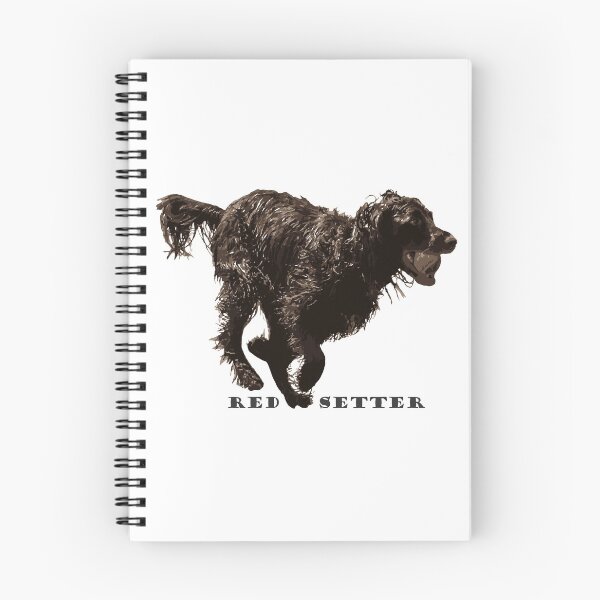 Item preview, Red Setter in Action: Colour Logo designed and sold by Alius Imago.