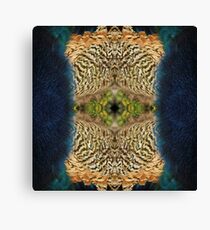 Plumage Canvas Print