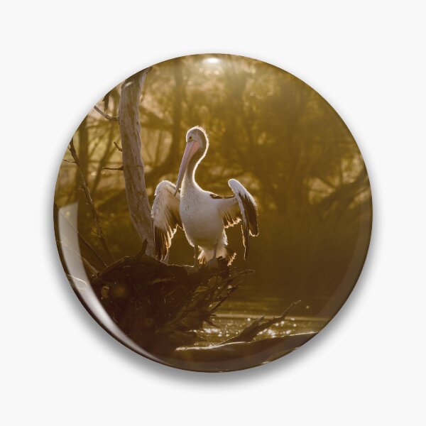 Item preview, Pelican drying out on a golden morning designed and sold by Images by Chris de Blank.