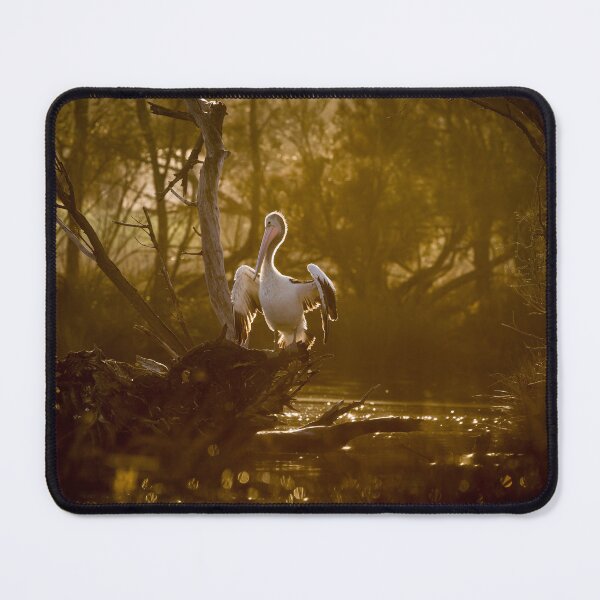 Item preview, Pelican drying out on a golden morning designed and sold by Images by Chris de Blank.