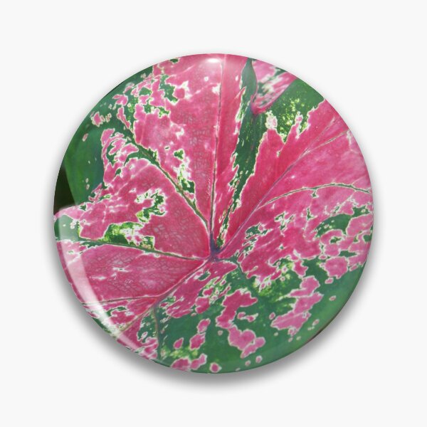 Item preview, Caladium designed and sold by okomedesign.