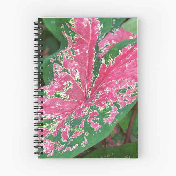 Item preview, Caladium designed and sold by okomedesign.