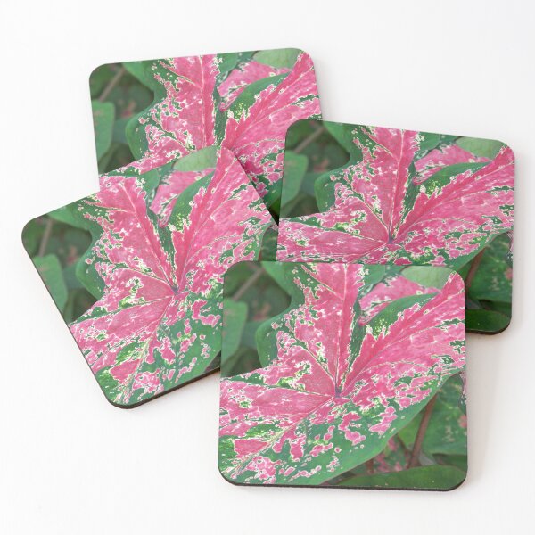 Item preview, Caladium designed and sold by okomedesign.