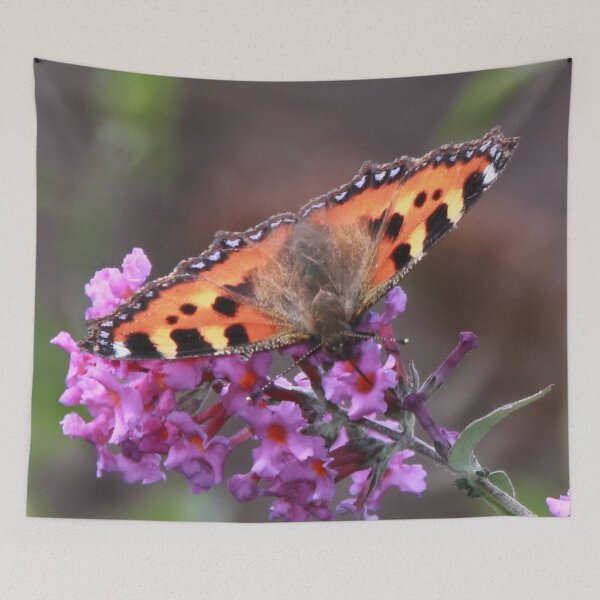 Item preview, Small Tortoiseshell Butterfly on Budlea Flower designed and sold by AnnDixon.