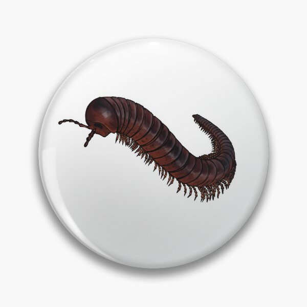 Item preview, Giant African Millipede  designed and sold by DannyFly.