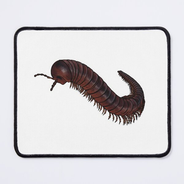 Item preview, Giant African Millipede designed and sold by DannyFly.