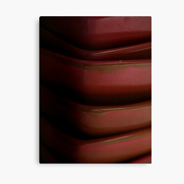 Domestic Theory II Canvas Print