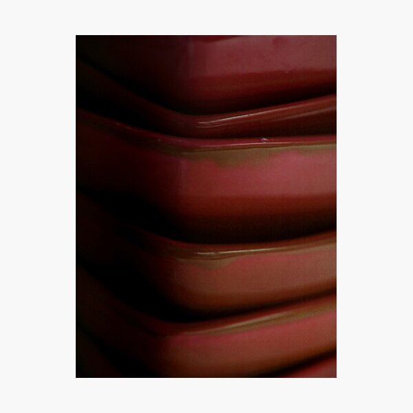 Domestic Theory II Photographic Print