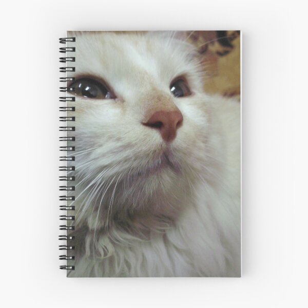 Item preview, cat lover - smart shoot designed and sold by Mahmoud Salah.